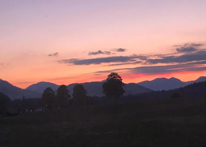 Michaela Appartement Westendorf