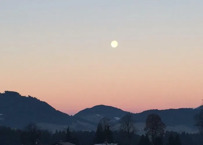 Michaela 韦斯滕多夫