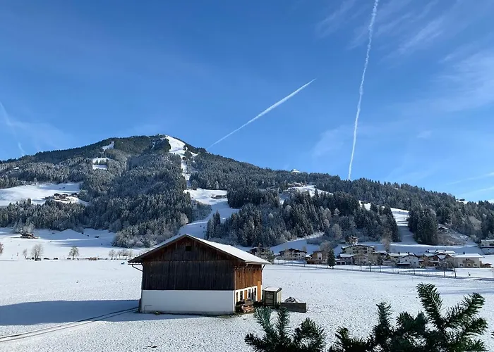 Michaela 韦斯滕多夫